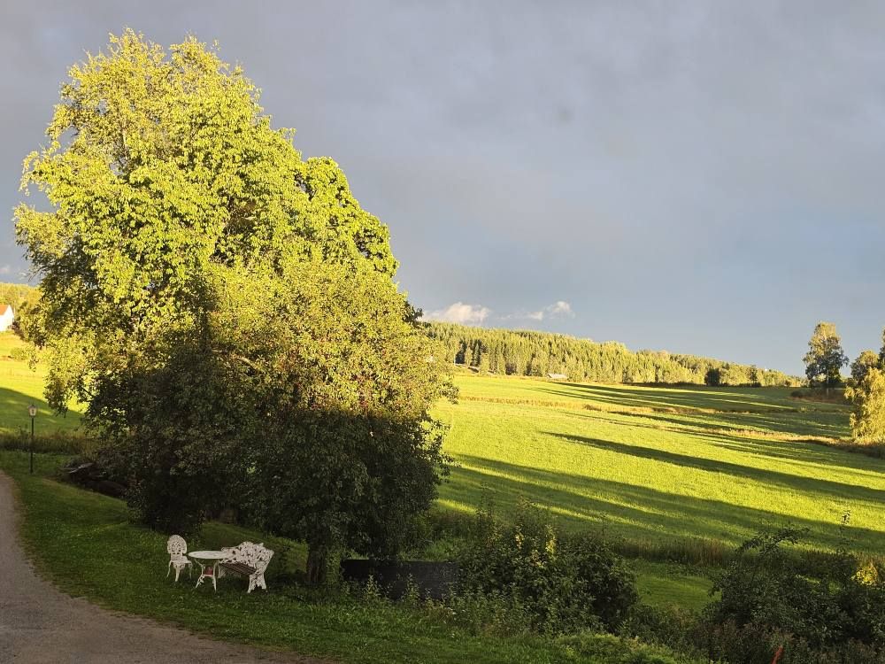 Frägsta Hälsingegård