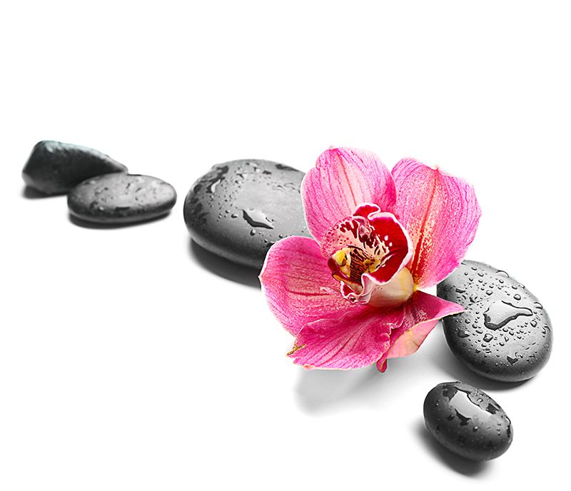 Penzión & Wellness Zoborská