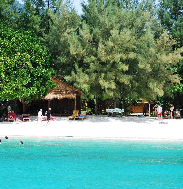Green View Resort