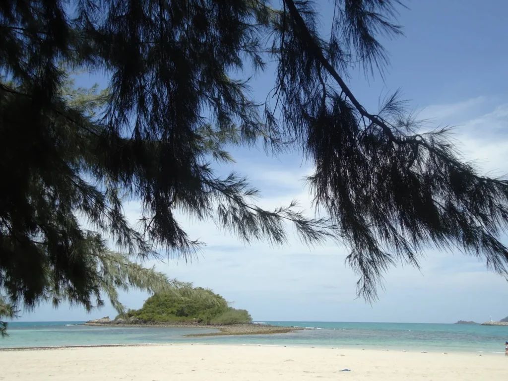 Lonops Paradise