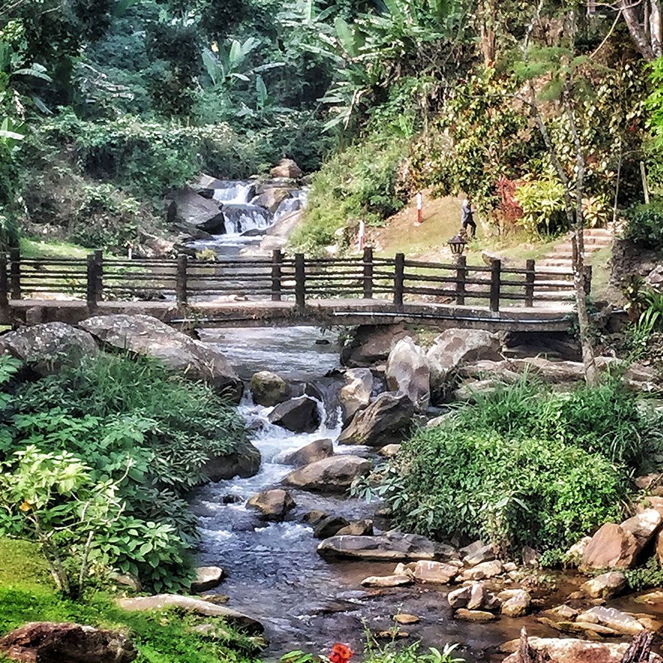 Mae Sa Valley Garden Resort