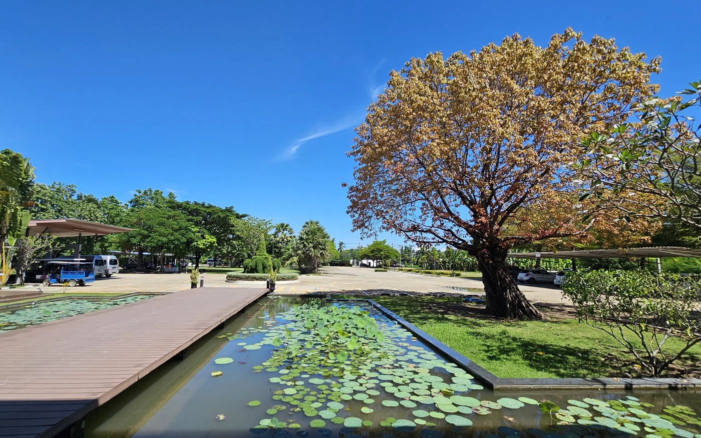 Sukhothai Treasure