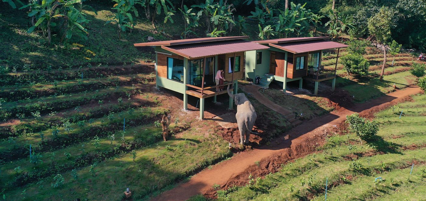 Chiang Mai Elephant Friends