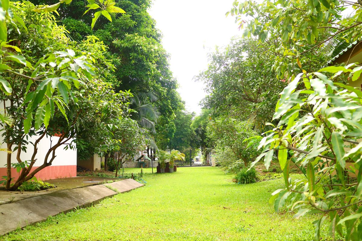 Golden Cupids Hotel