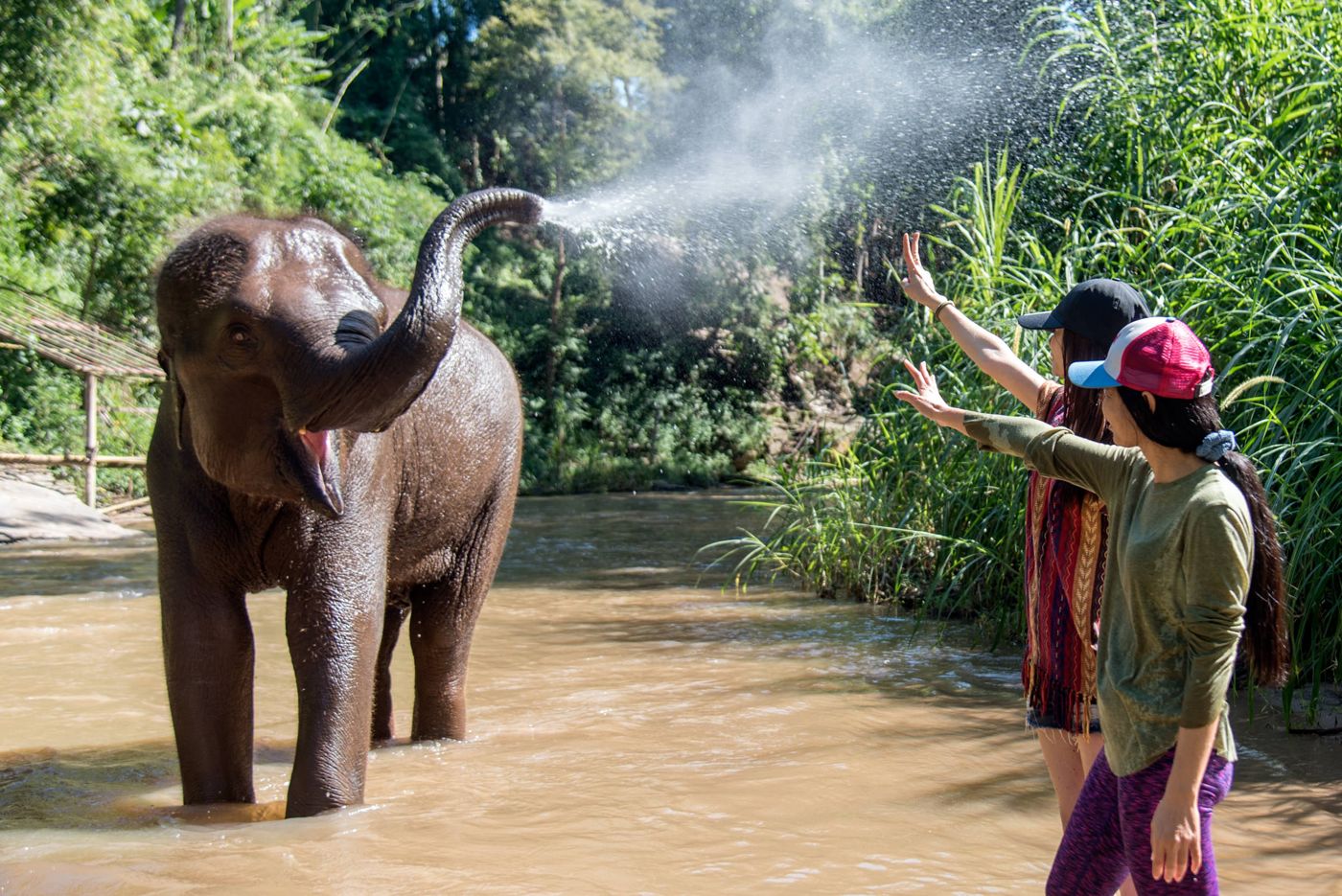 Tawan Riverside - Elephant Resort