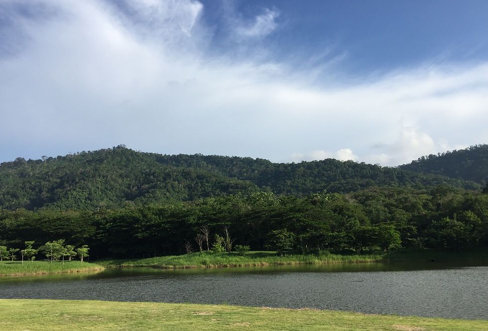Tree house monlada khaoyai