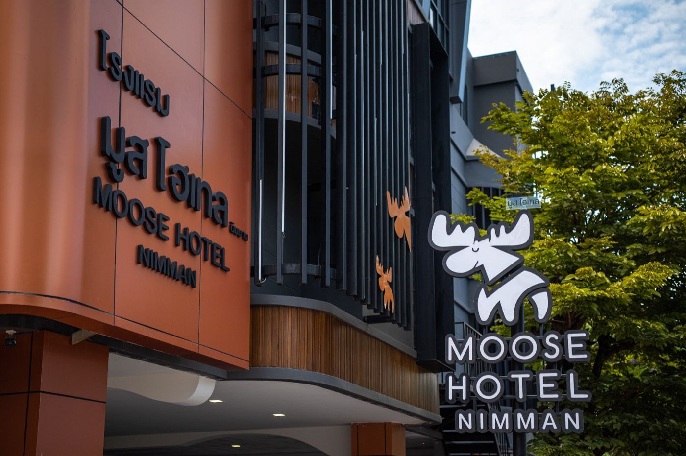 Moose Hotel Nimman