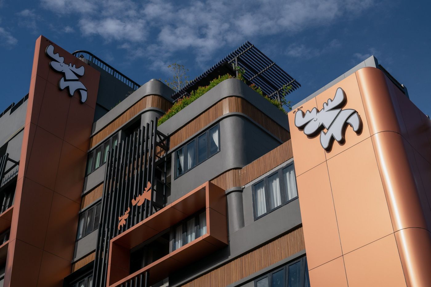 Moose Hotel Nimman