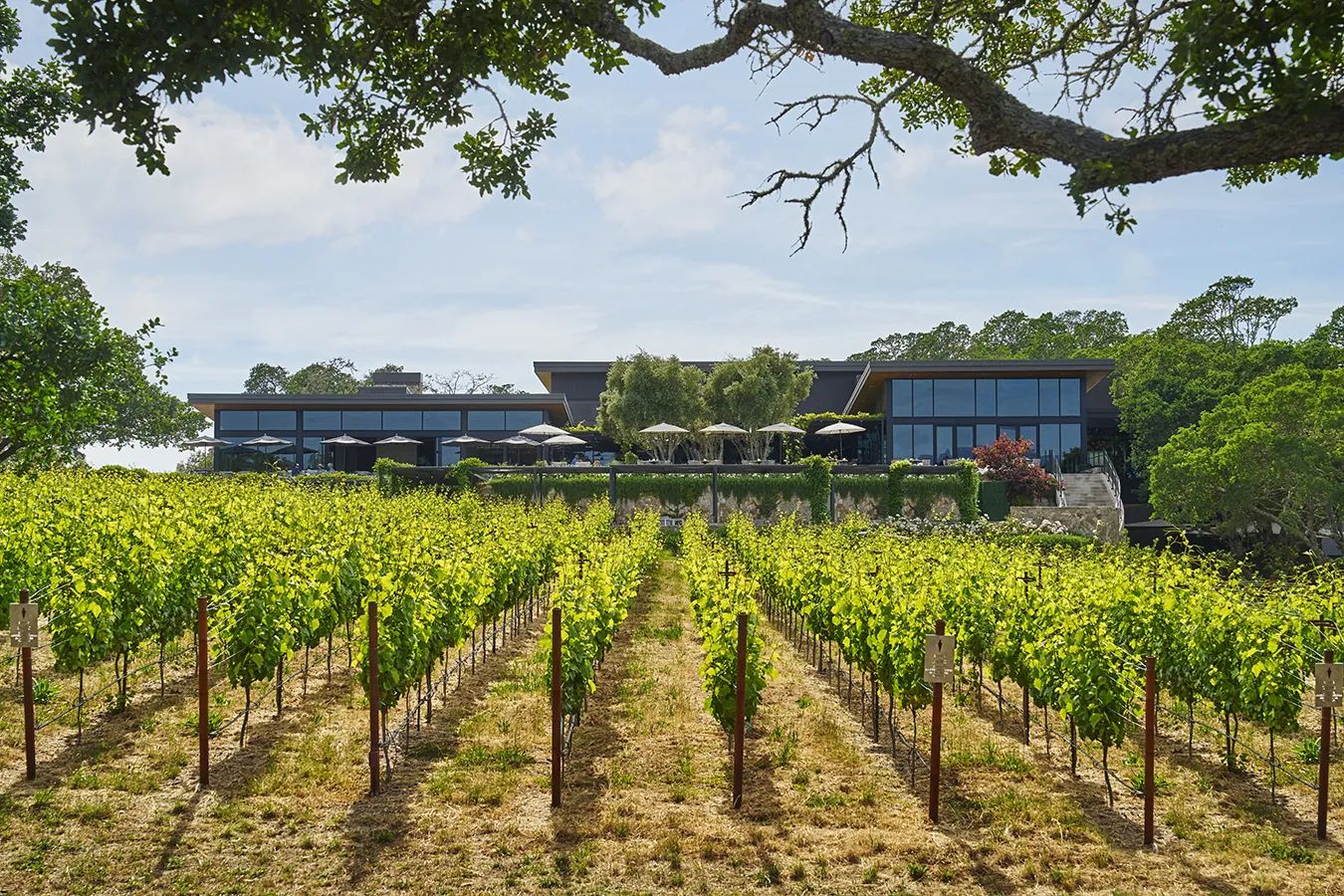 Montage Healdsburg