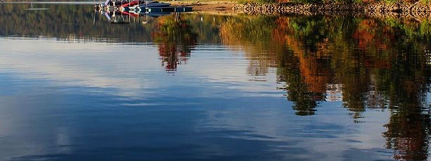 LakeFront Lodge