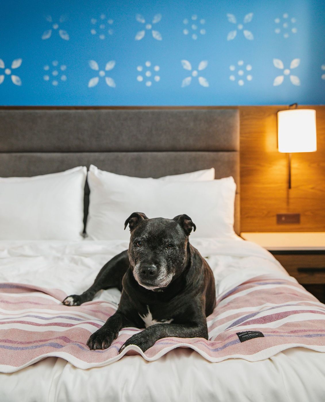 Hotel Millwright