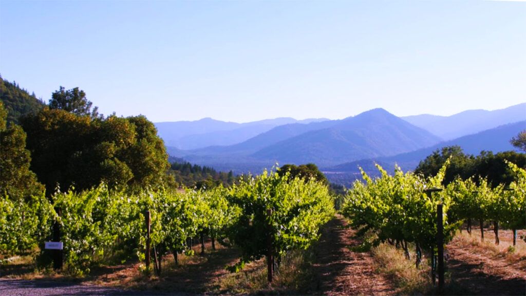 Wine country