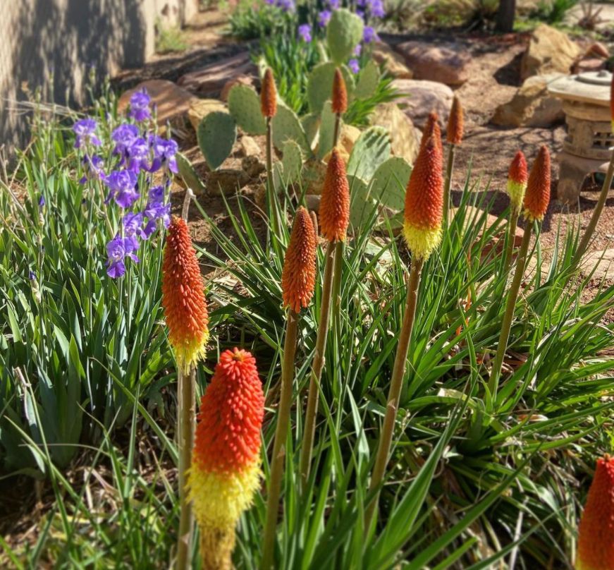 Zion Canyon Bed and Breakfast