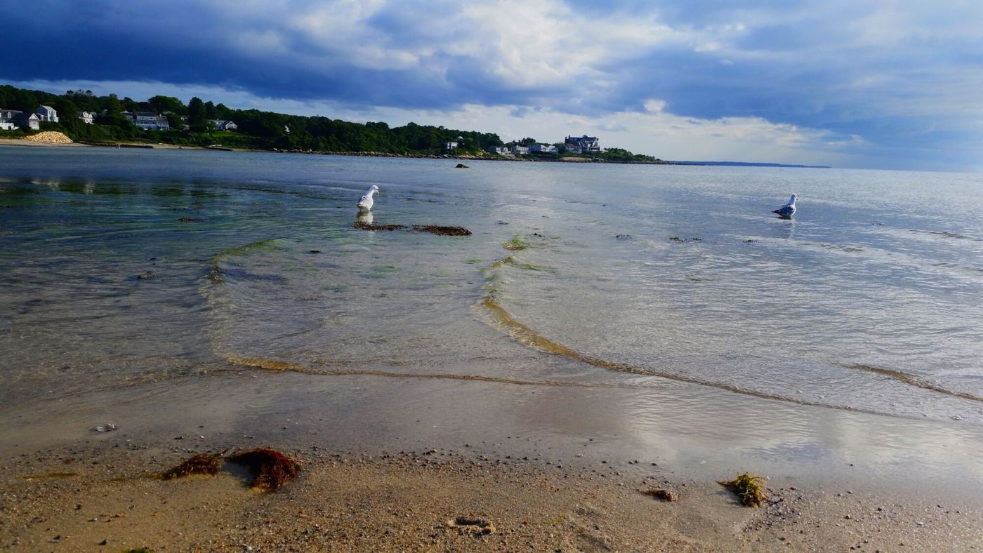 Woods Hole Passage