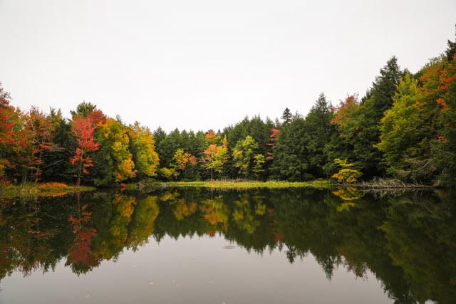 Mill Pond Inn