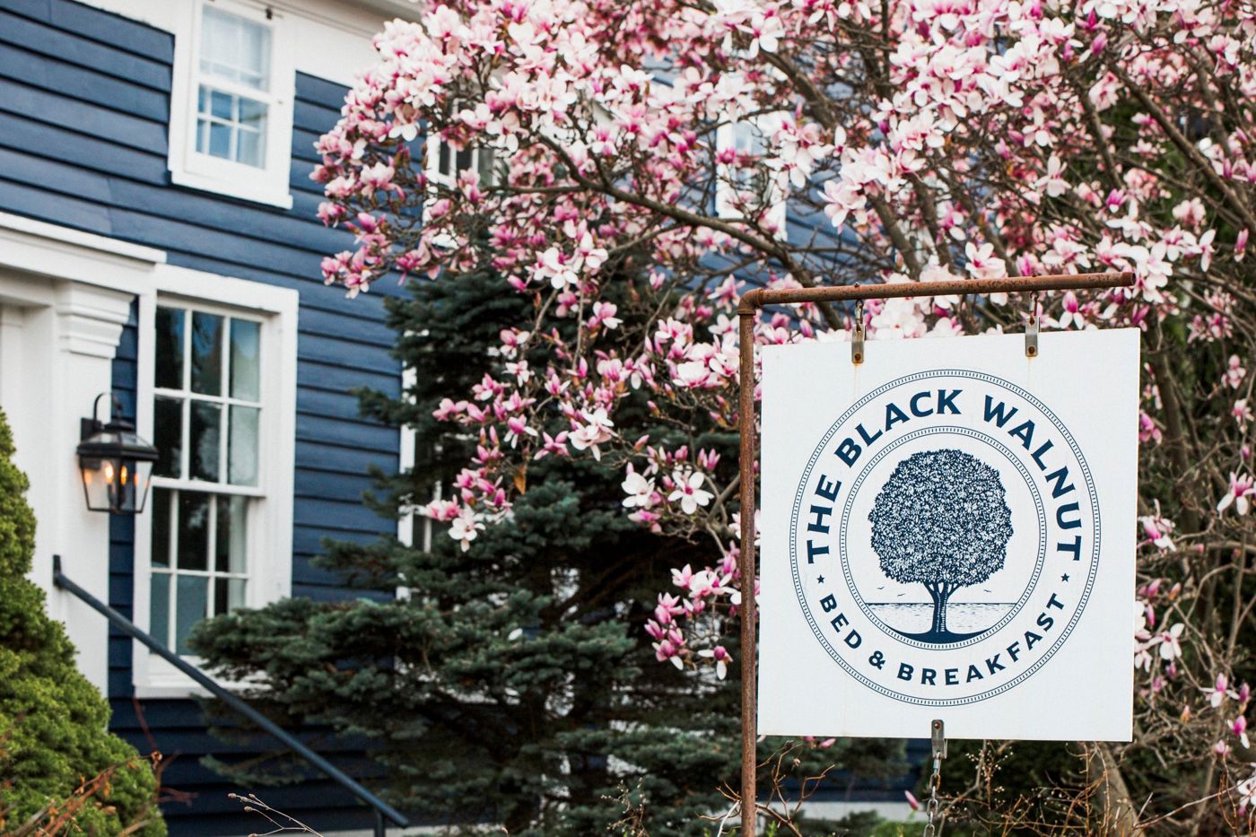 Black Walnut Bed and Breakfast
