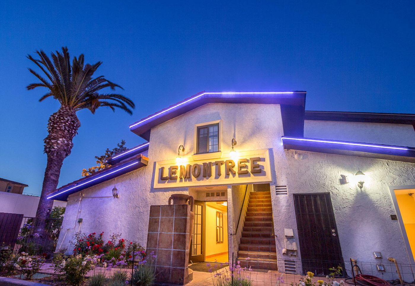 Lemon Tree Hotel and suites