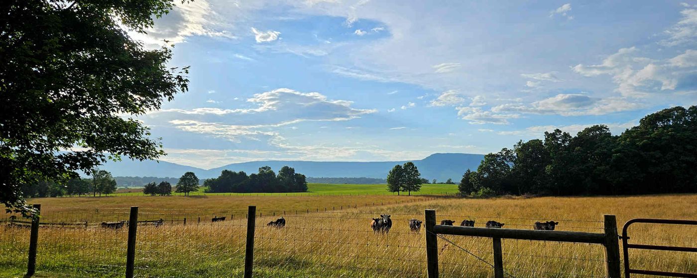 Piney Hill Bed & Breakfast and Cottages