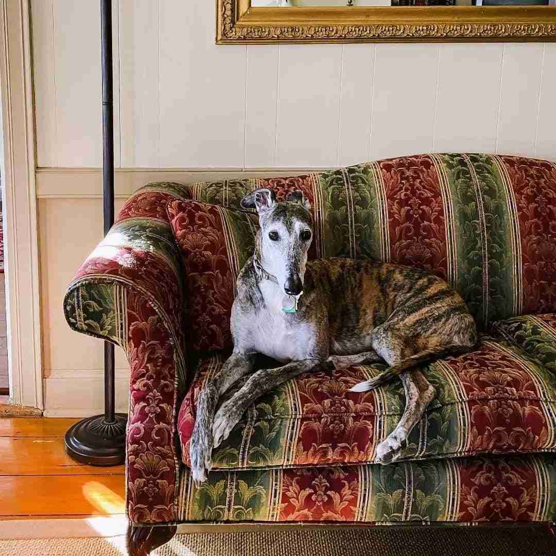 Pryor House Bed and Breakfast
