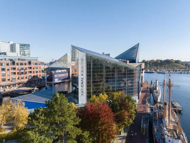 Sonesta Hotel Baltimore Inner Harbor