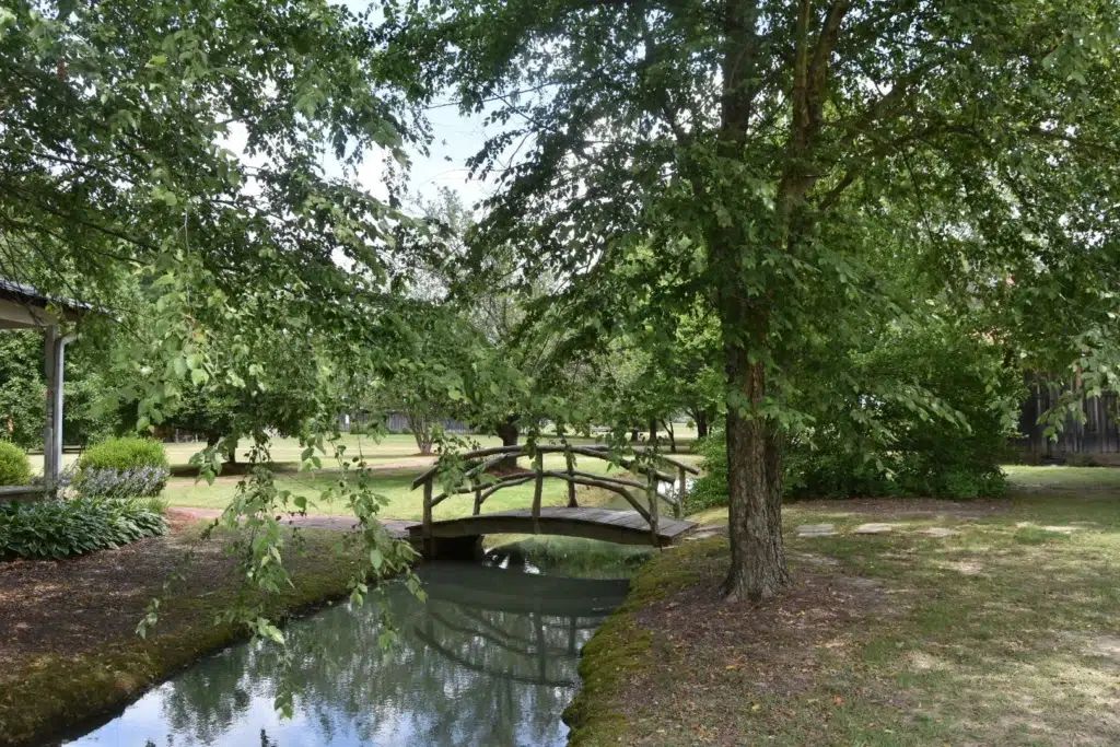 Green Frog Farm