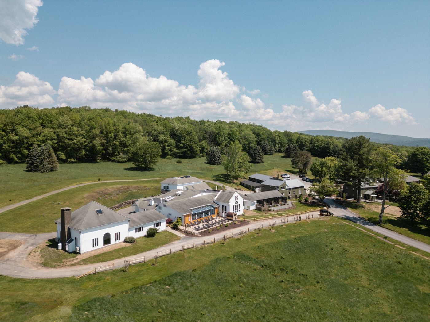 Hemlock Neversink