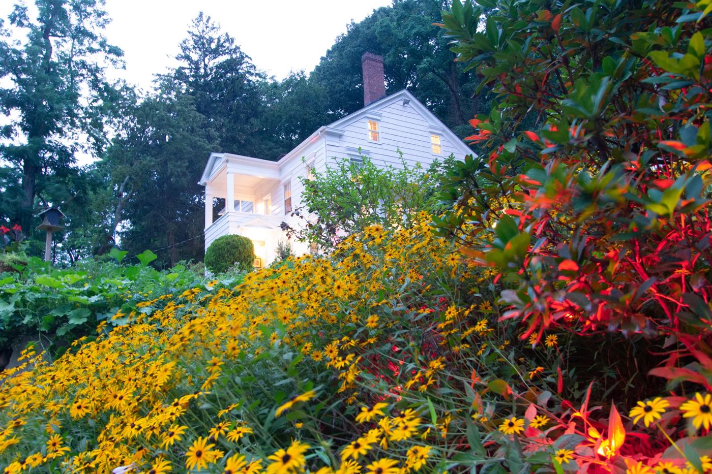 The Harbor Rose Bed & Breakfast