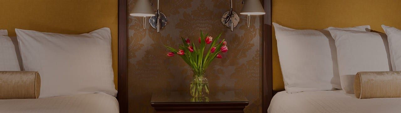 Chestnut Hill Hotel