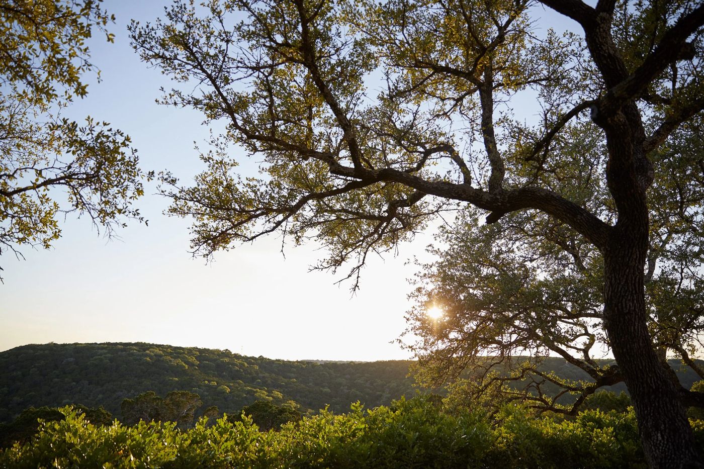 Miraval Austin Resort and Spa