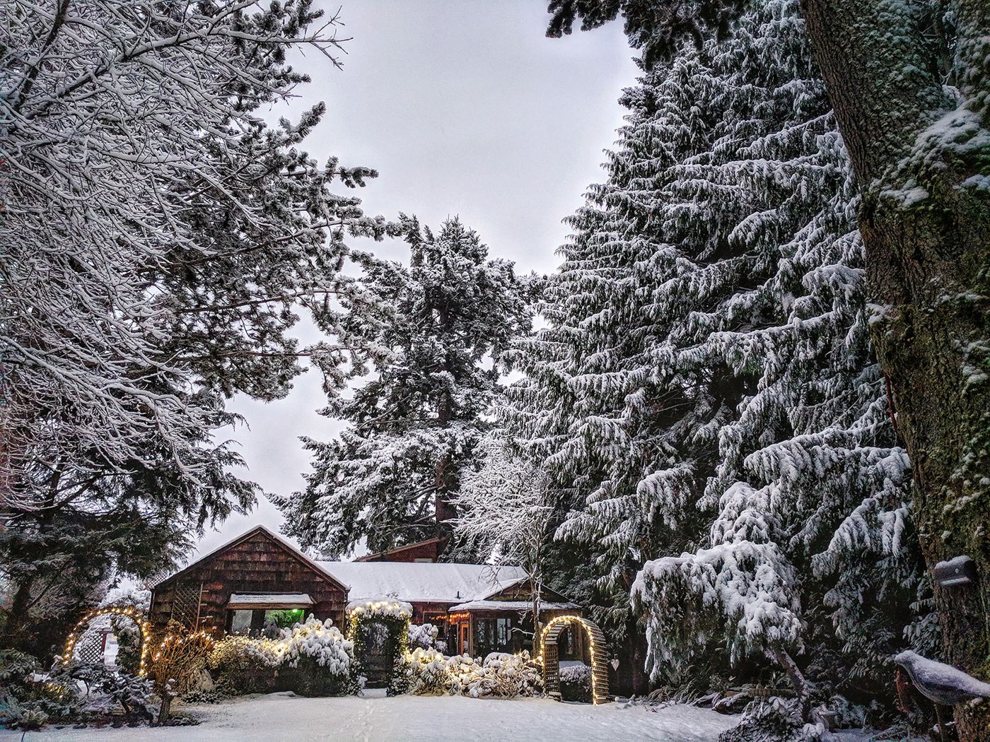 Cottage Lake Bed and Breakfast