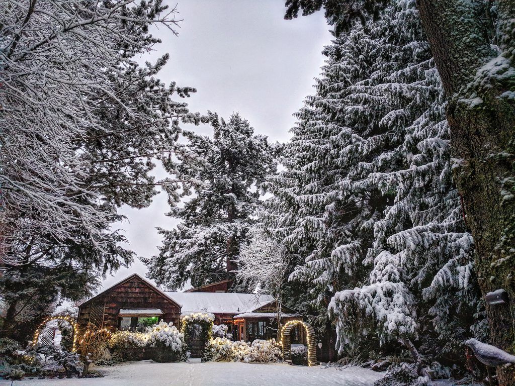 Cottage Lake Bed and Breakfast