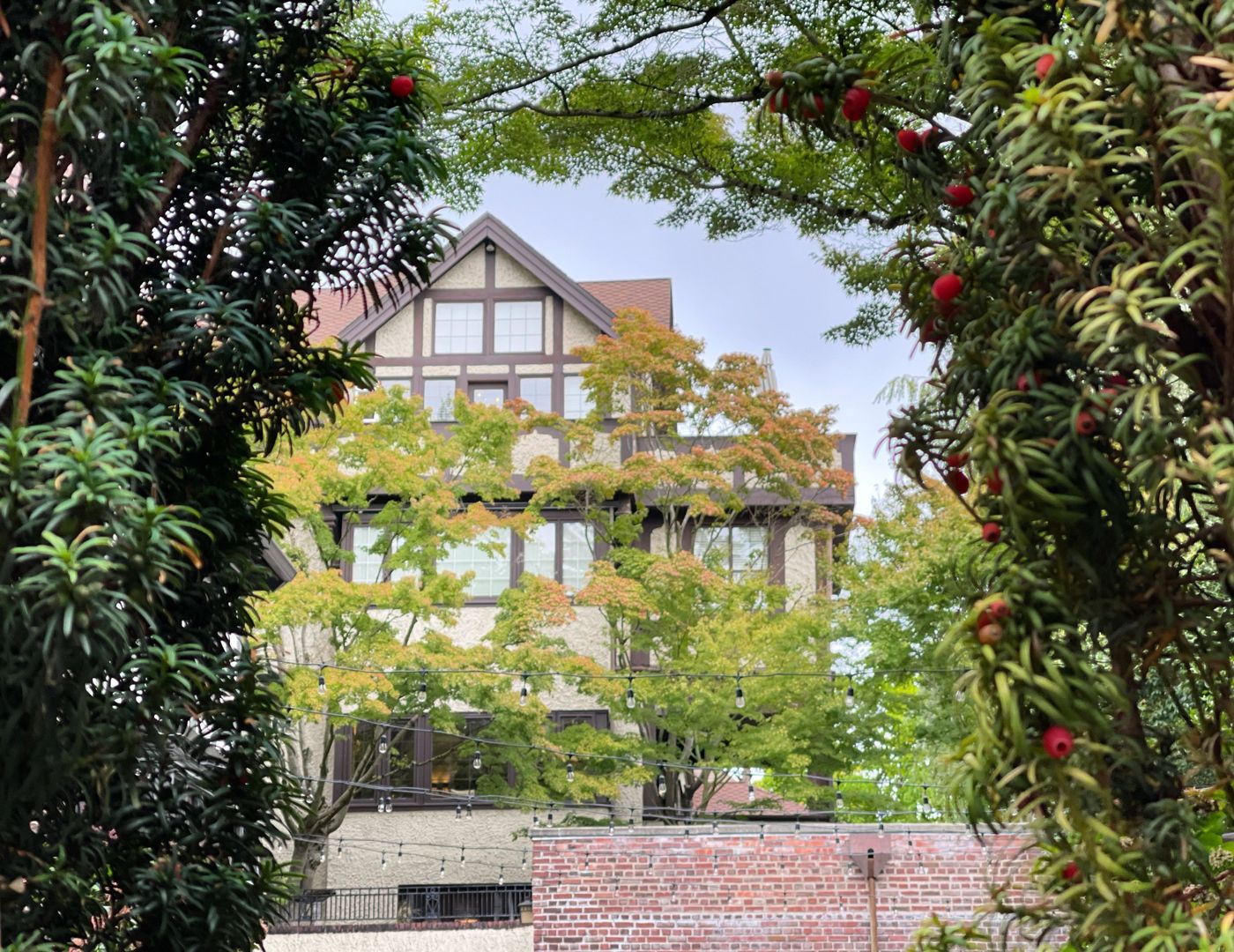 Cecil Bacon Manor Bed and Breakfast