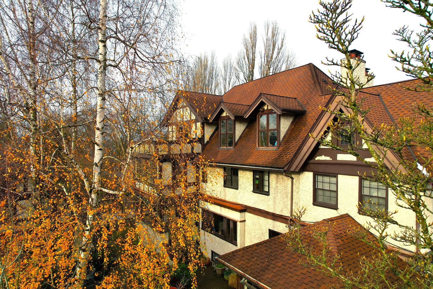 Cecil Bacon Manor Bed and Breakfast