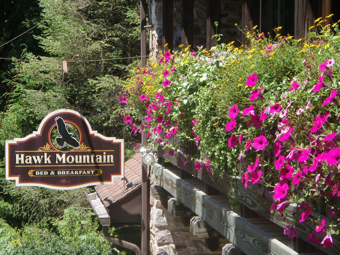 Hawk Mountain Bed and Breakfast