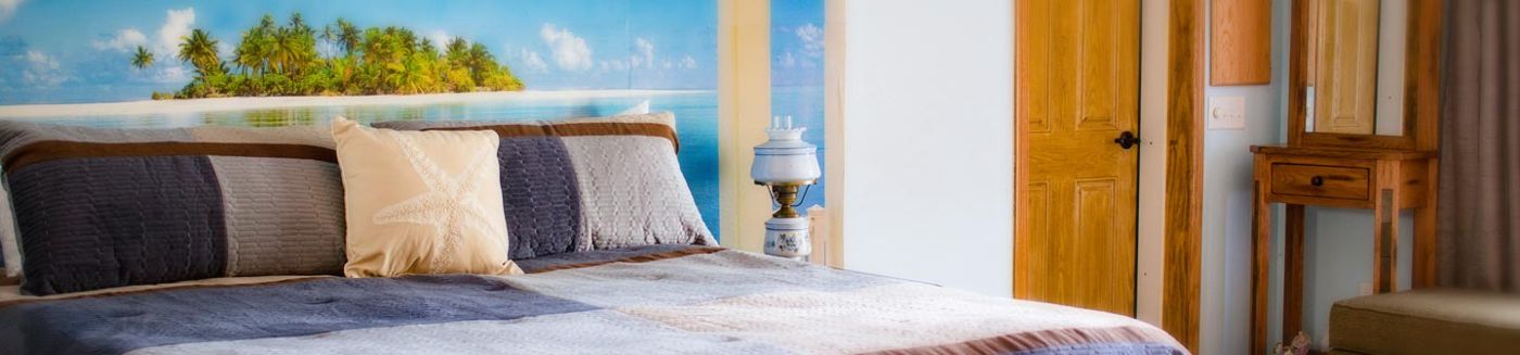 Shane Acres Bed and Breakfast