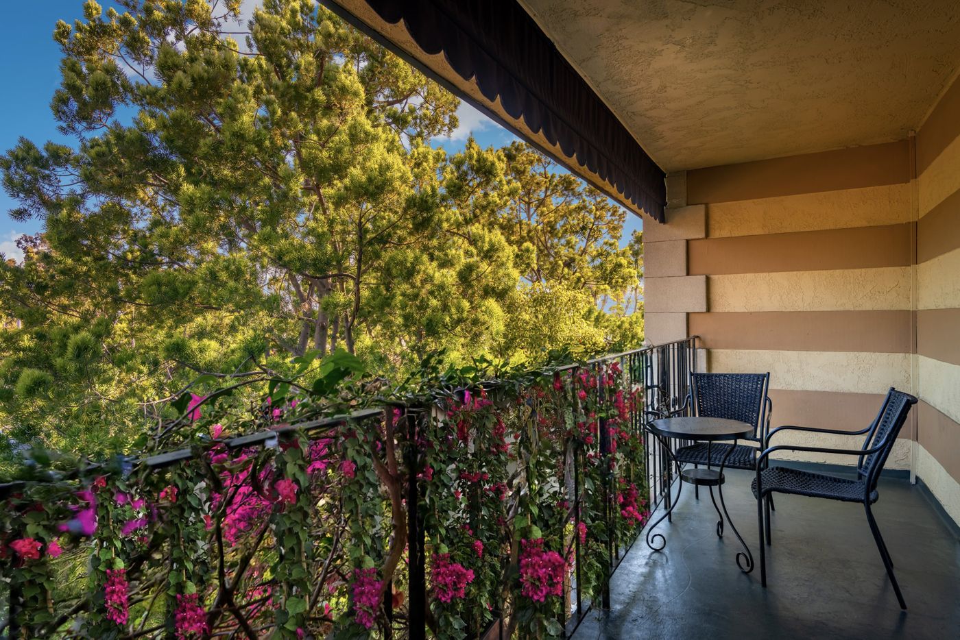 Hotel Pepper Tree
