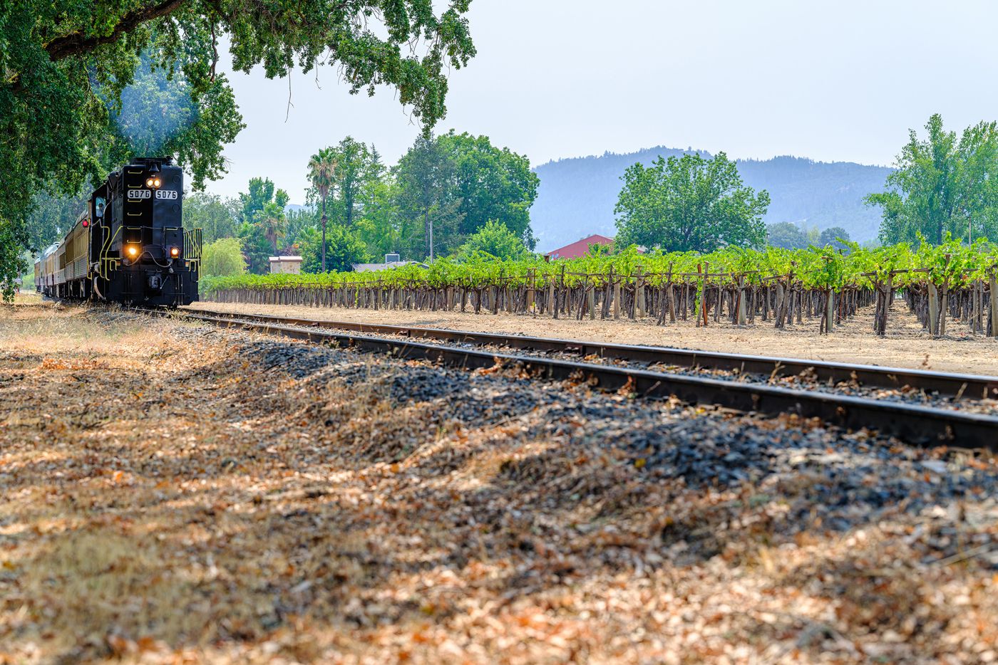 RiverPointe Napa Valley