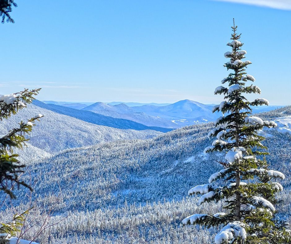 Presidential Mountain Resort