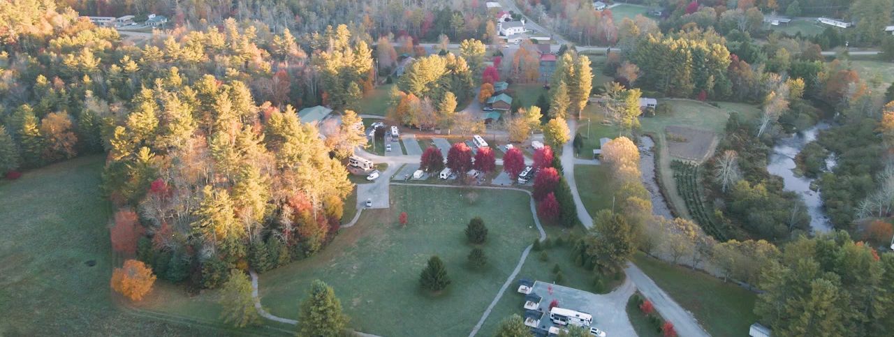 The Pineola