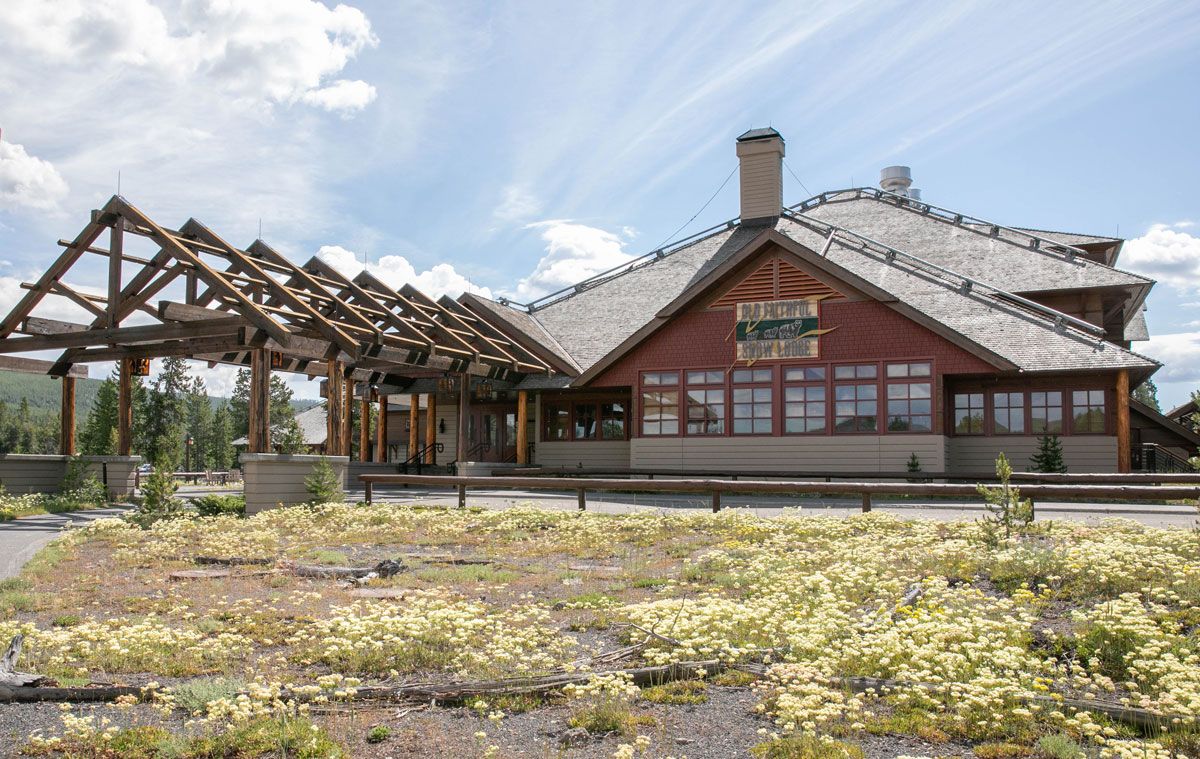 Snow Lodge