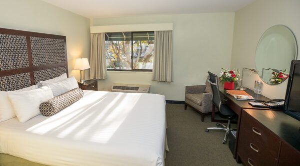 Maple Tree Inn