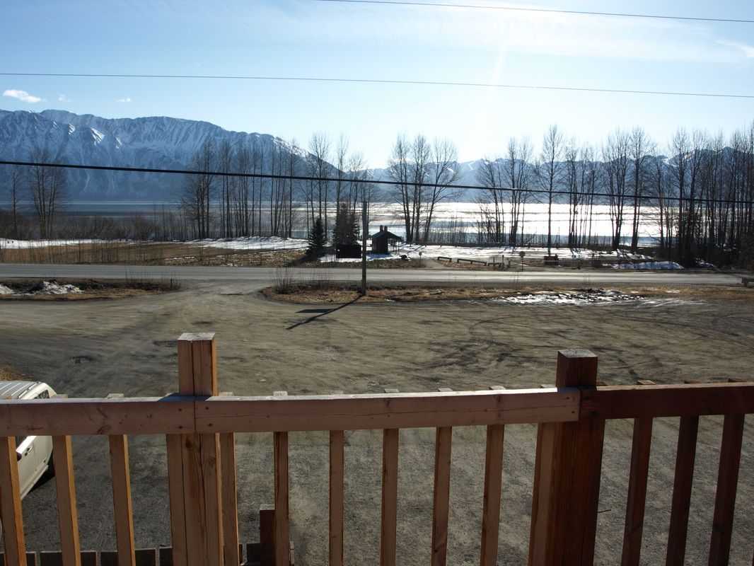 Brown Bear Motel