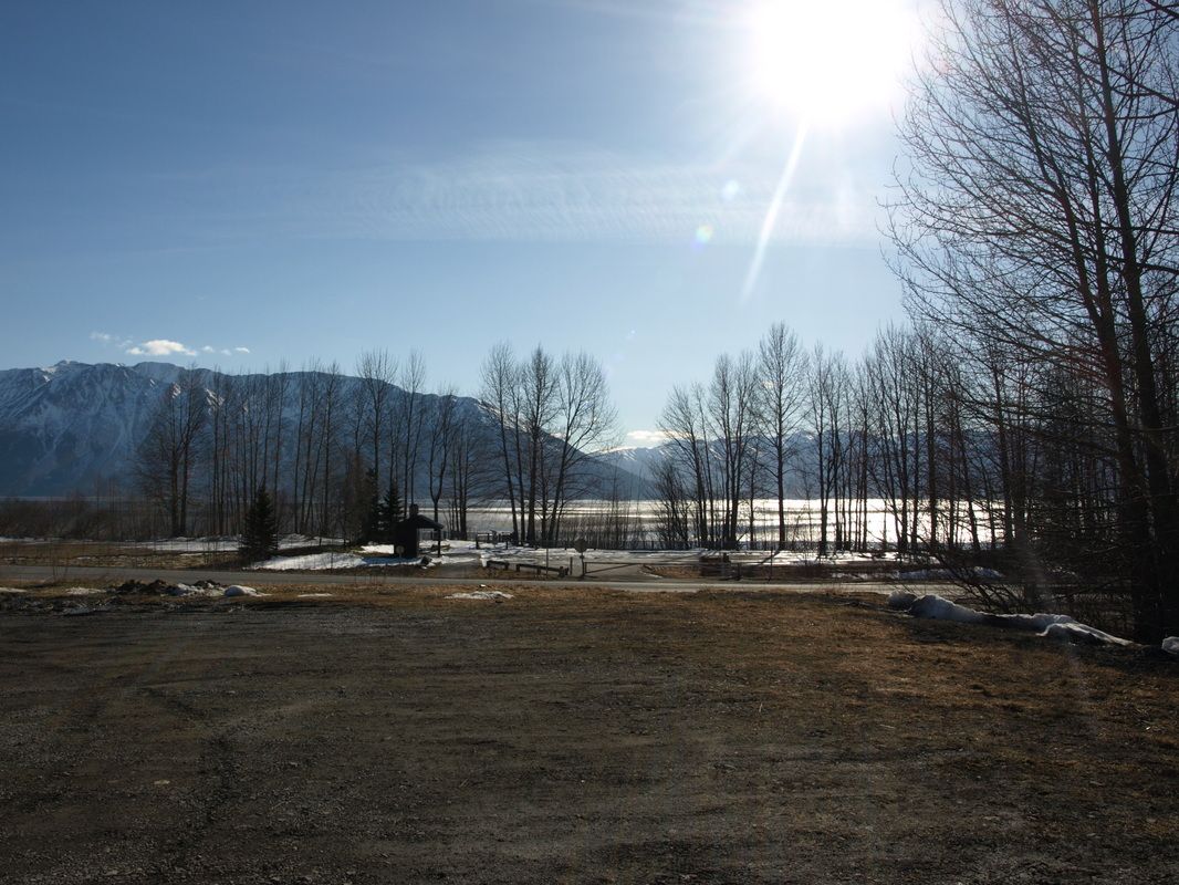 Brown Bear Motel