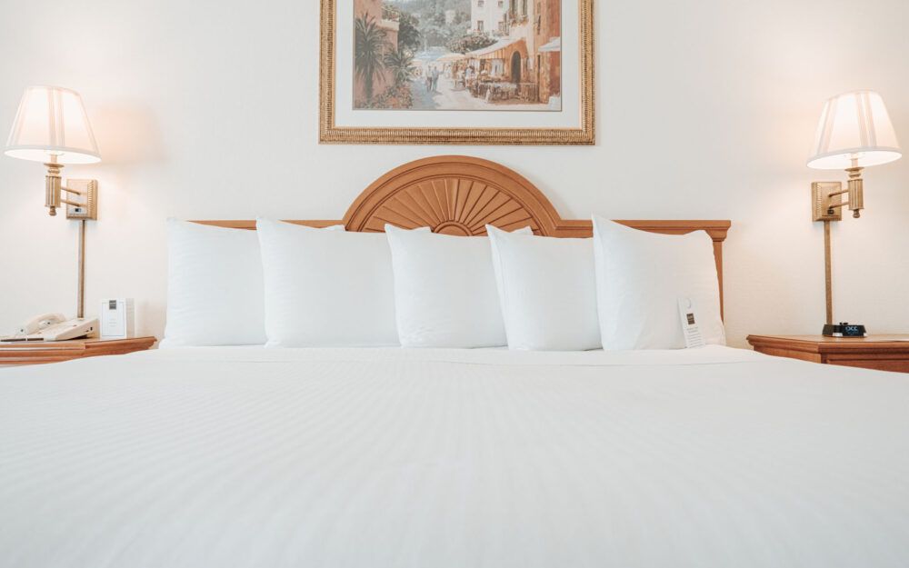 Ann Arbor Regent Hotel & Suites