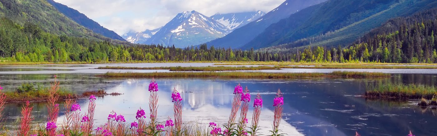 Kenai Princess Wilderness Lodge
