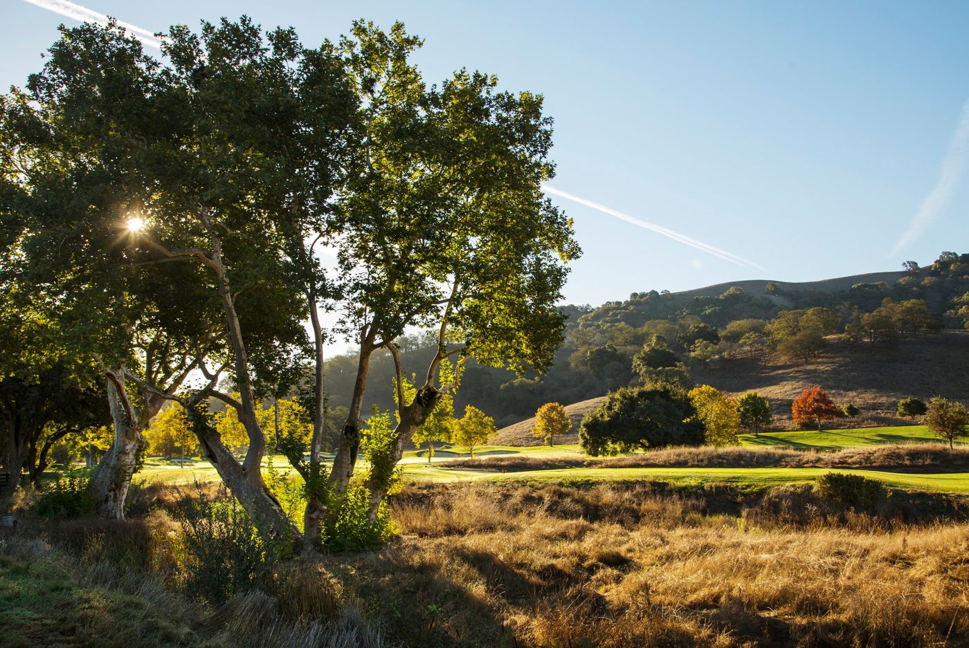 CordeValle