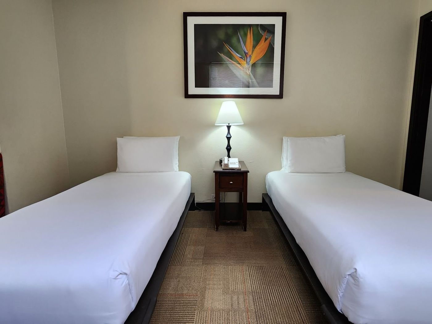 Stay Hotel Waikiki