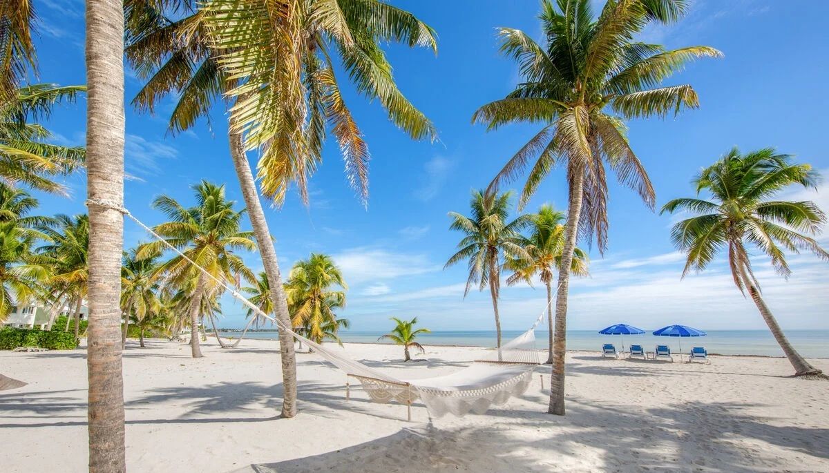 Southern Palms