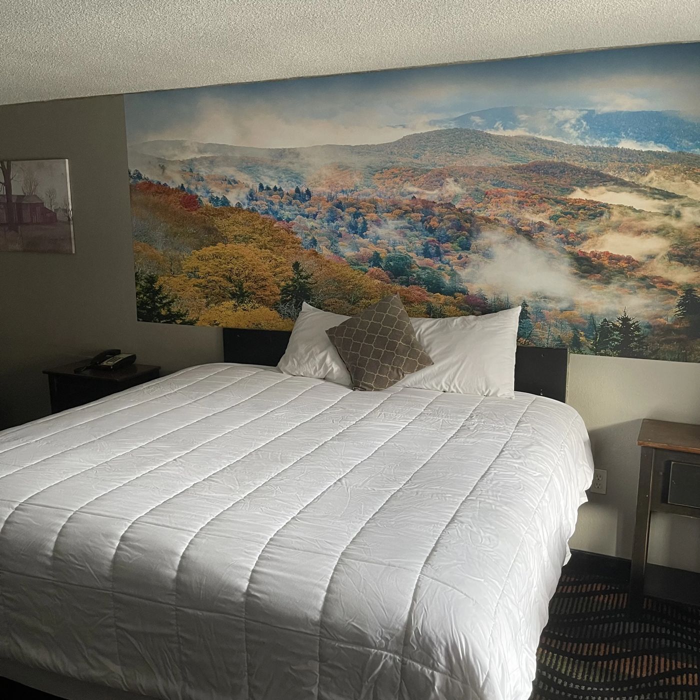 Country Town N' Suites