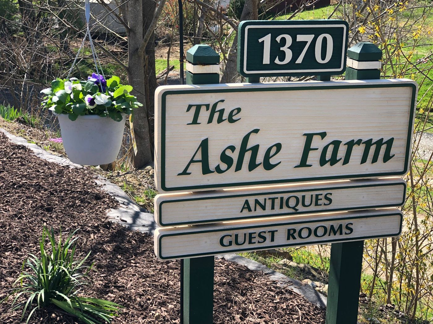 The Ashe Farm